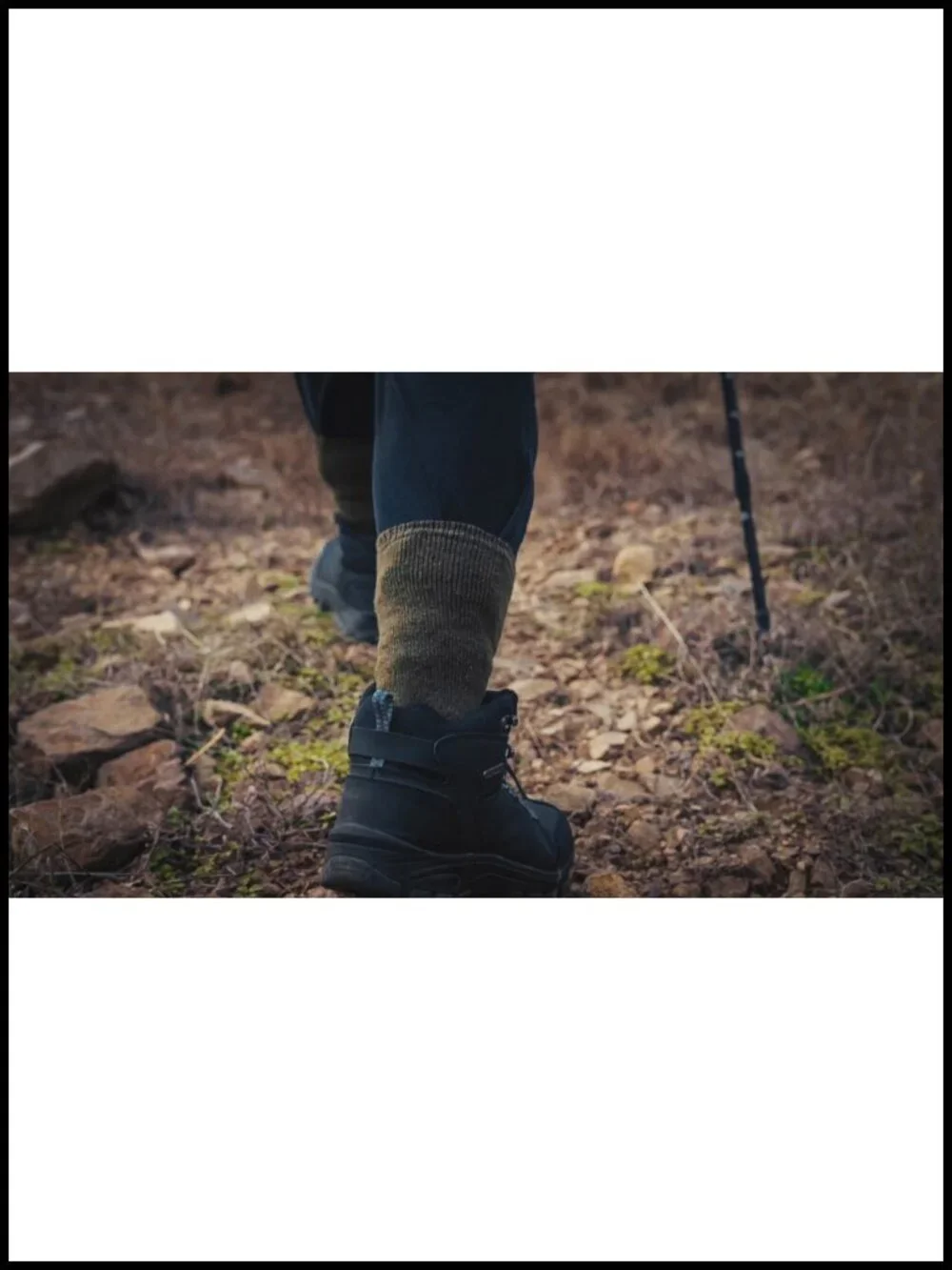 80% Merino Wool Hiking Boot Socks Cushioned Moisture-Wicking Arch Support